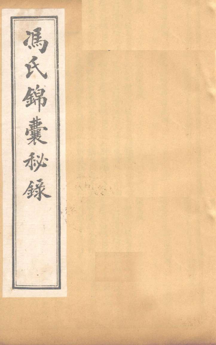 冯氏锦囊秘录杂症大小合参  卷5、卷6